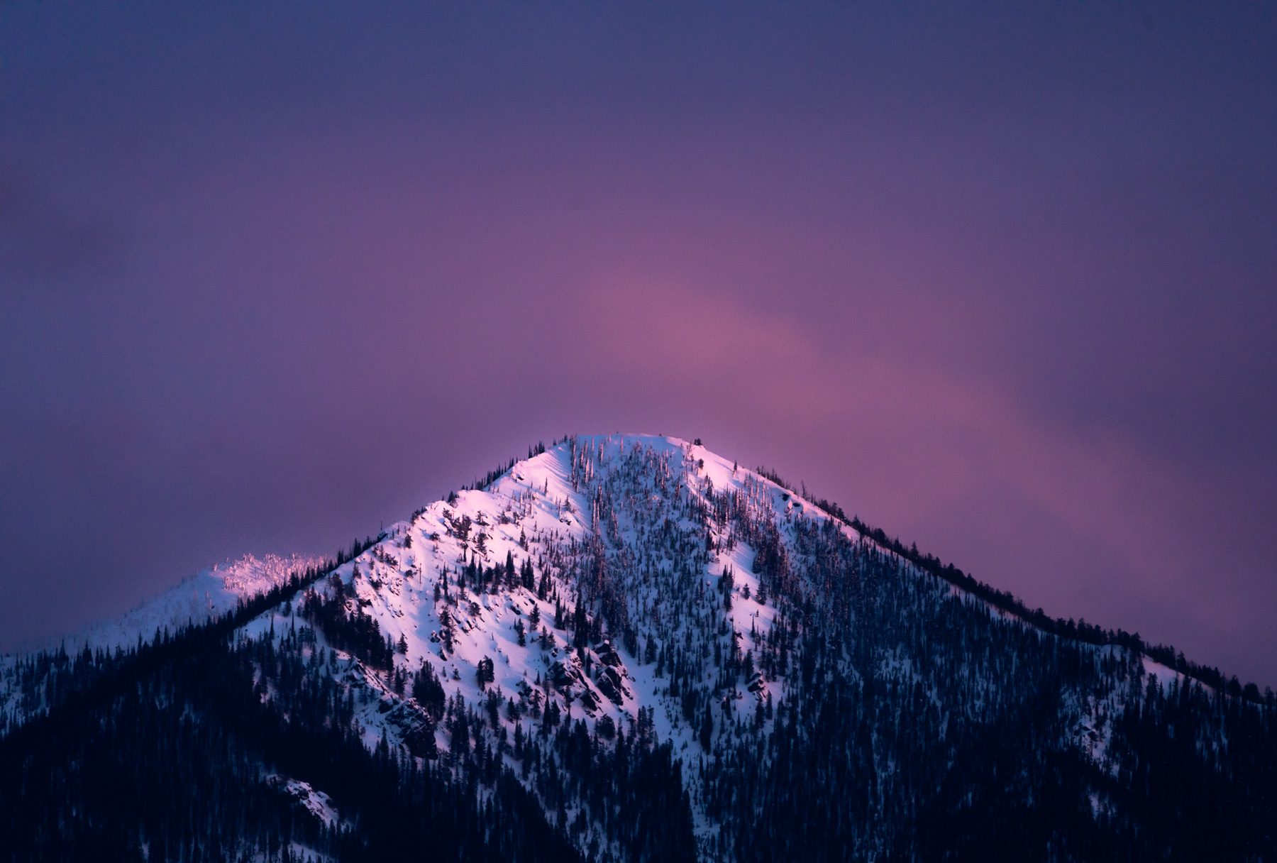 A snow-covered peak lit pink by alpenglow